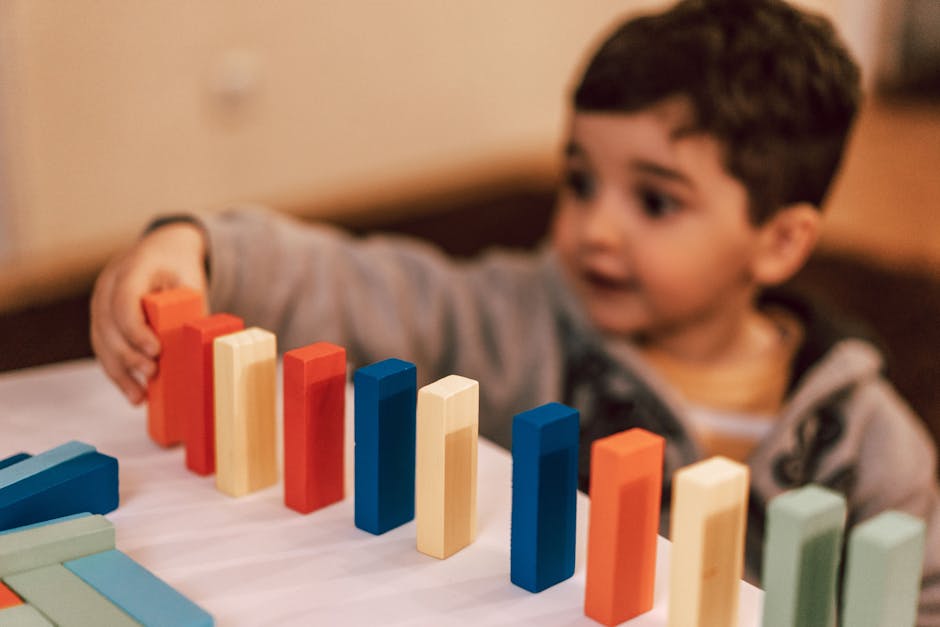 Happy Planet Toys: intro focus